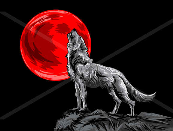 Wolf and Moon Illustration